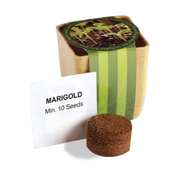 Prime Line Flower Pot Set With Marigold Seeds PL-5010 Flower Pot Set With Marigold Seeds Thumbnail