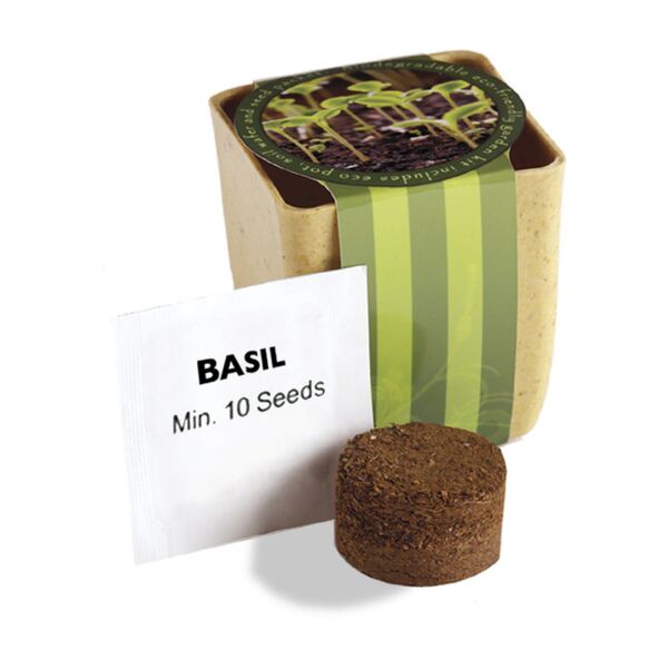 Prime Line Flower Pot Set With Basil Seeds PL-5011 Flower Pot Set With Basil Seeds Thumbnail