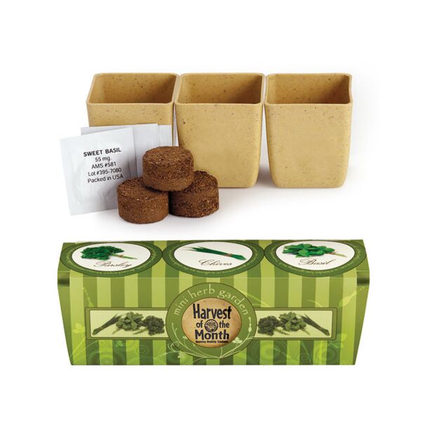 Prime Line Growpot Eco-Planter Herb 3-Pack PL-5013 Growpot Eco-Planter Herb 3-Pack Thumbnail
