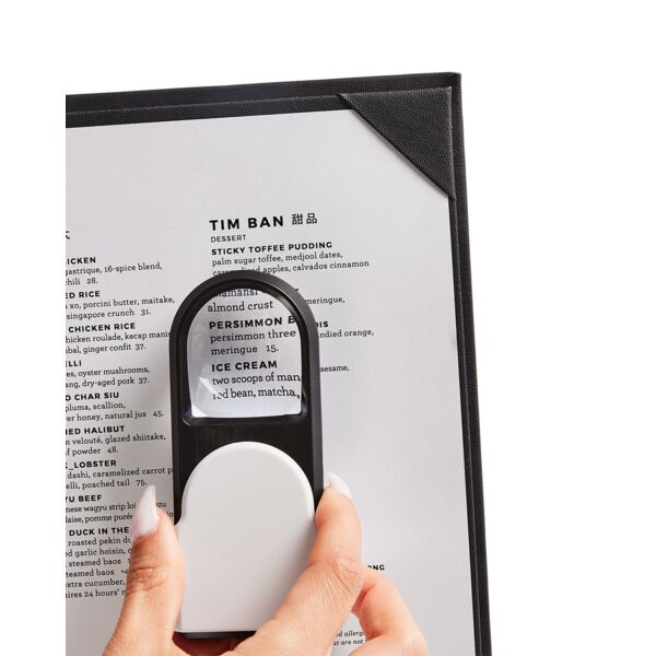 Prime Line Magnifier With Light FL253 Magnifier With Light Thumbnail