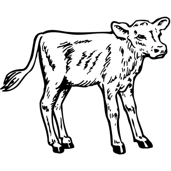 COW028 Thumbnail
