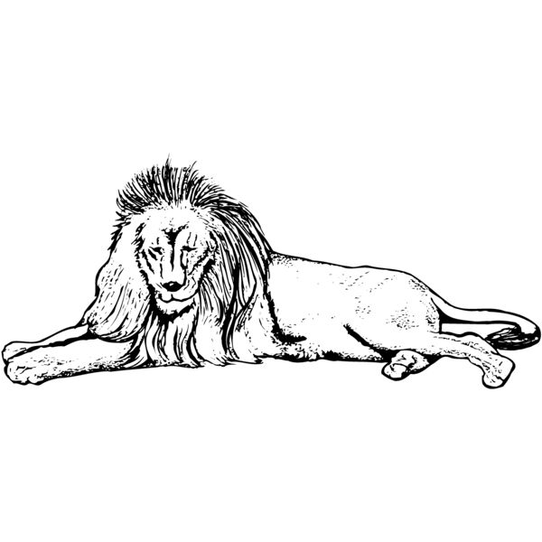 LION008 Thumbnail