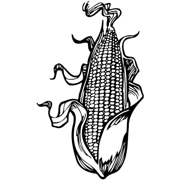 GRAIN012 Thumbnail