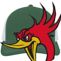 Contrast Stitch Trucker Snapback Thumbnail