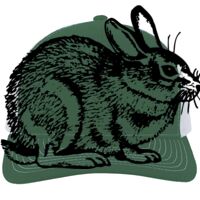 Contrast Stitch Trucker Snapback Thumbnail