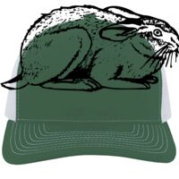 Contrast Stitch Trucker Snapback Thumbnail