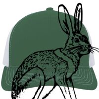 Contrast Stitch Trucker Snapback Thumbnail