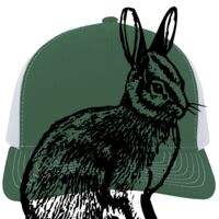 Contrast Stitch Trucker Snapback Thumbnail