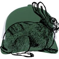 Contrast Stitch Trucker Snapback Thumbnail