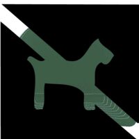 Contrast Stitch Trucker Snapback Thumbnail