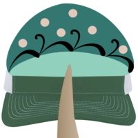 Contrast Stitch Trucker Snapback Thumbnail