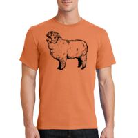 Essential Tee Thumbnail