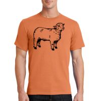 Essential Tee Thumbnail