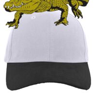 Brushed Cotton Twill Hook-And-Loop Adjustable Cap Thumbnail