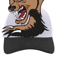 Brushed Cotton Twill Hook-And-Loop Adjustable Cap Thumbnail