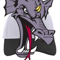 Brushed Cotton Twill Hook-And-Loop Adjustable Cap Thumbnail