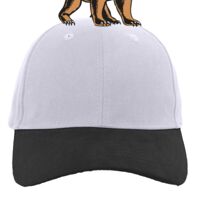 Brushed Cotton Twill Hook-And-Loop Adjustable Cap Thumbnail