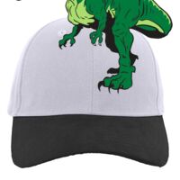 Brushed Cotton Twill Hook-And-Loop Adjustable Cap Thumbnail