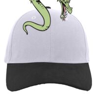 Brushed Cotton Twill Hook-And-Loop Adjustable Cap Thumbnail