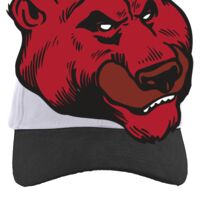 Brushed Cotton Twill Hook-And-Loop Adjustable Cap Thumbnail