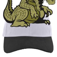 Brushed Cotton Twill Hook-And-Loop Adjustable Cap Thumbnail