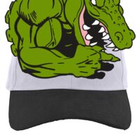 Brushed Cotton Twill Hook-And-Loop Adjustable Cap Thumbnail