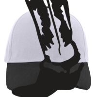 Brushed Cotton Twill Hook-And-Loop Adjustable Cap Thumbnail