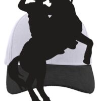 Brushed Cotton Twill Hook-And-Loop Adjustable Cap Thumbnail