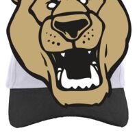 Brushed Cotton Twill Hook-And-Loop Adjustable Cap Thumbnail