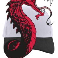 Brushed Cotton Twill Hook-And-Loop Adjustable Cap Thumbnail