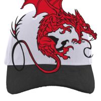 Brushed Cotton Twill Hook-And-Loop Adjustable Cap Thumbnail