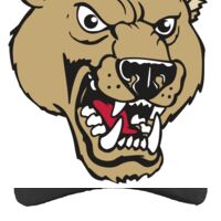 Brushed Cotton Twill Hook-And-Loop Adjustable Cap Thumbnail