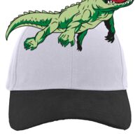 Brushed Cotton Twill Hook-And-Loop Adjustable Cap Thumbnail