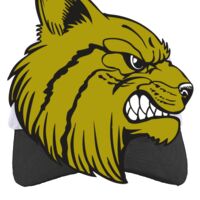 Brushed Cotton Twill Hook-And-Loop Adjustable Cap Thumbnail