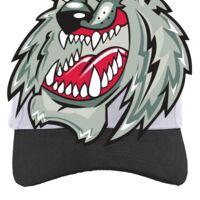 Brushed Cotton Twill Hook-And-Loop Adjustable Cap Thumbnail