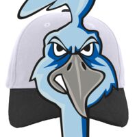 Brushed Cotton Twill Hook-And-Loop Adjustable Cap Thumbnail