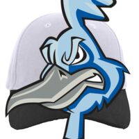 Brushed Cotton Twill Hook-And-Loop Adjustable Cap Thumbnail