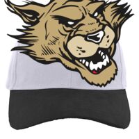 Brushed Cotton Twill Hook-And-Loop Adjustable Cap Thumbnail