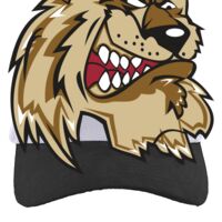 Brushed Cotton Twill Hook-And-Loop Adjustable Cap Thumbnail