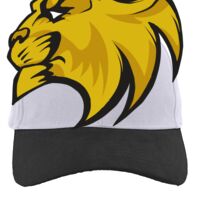 Brushed Cotton Twill Hook-And-Loop Adjustable Cap Thumbnail