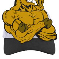 Brushed Cotton Twill Hook-And-Loop Adjustable Cap Thumbnail