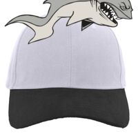 Brushed Cotton Twill Hook-And-Loop Adjustable Cap Thumbnail