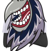 Brushed Cotton Twill Hook-And-Loop Adjustable Cap Thumbnail