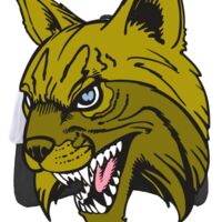 Brushed Cotton Twill Hook-And-Loop Adjustable Cap Thumbnail