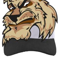 Brushed Cotton Twill Hook-And-Loop Adjustable Cap Thumbnail