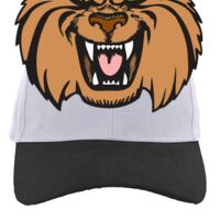 Brushed Cotton Twill Hook-And-Loop Adjustable Cap Thumbnail