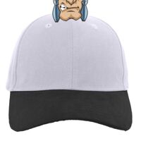 Brushed Cotton Twill Hook-And-Loop Adjustable Cap Thumbnail