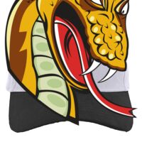 Brushed Cotton Twill Hook-And-Loop Adjustable Cap Thumbnail