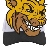 Brushed Cotton Twill Hook-And-Loop Adjustable Cap Thumbnail