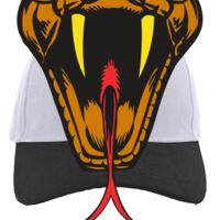 Brushed Cotton Twill Hook-And-Loop Adjustable Cap Thumbnail